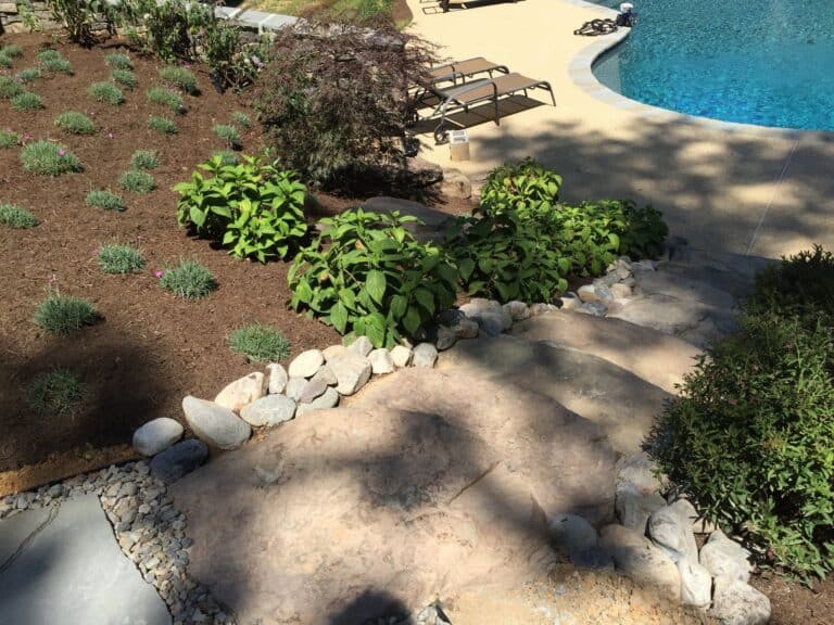 Lush backyard landscaping with stone pathways, green shrubs, and garden beds leading to a sparkling swimming pool, ideal for outdoor living and entertaining.