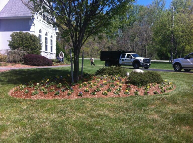 Lush landscaped front yard with vibrant flower beds and a large shade tree in a residential outdoor living space.
