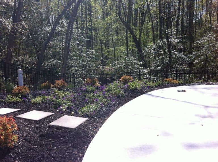 Stylish backyard garden with stone pathway, vibrant flowers, and a black metal fence, perfect for outdoor living spaces and enhancing natural beauty.